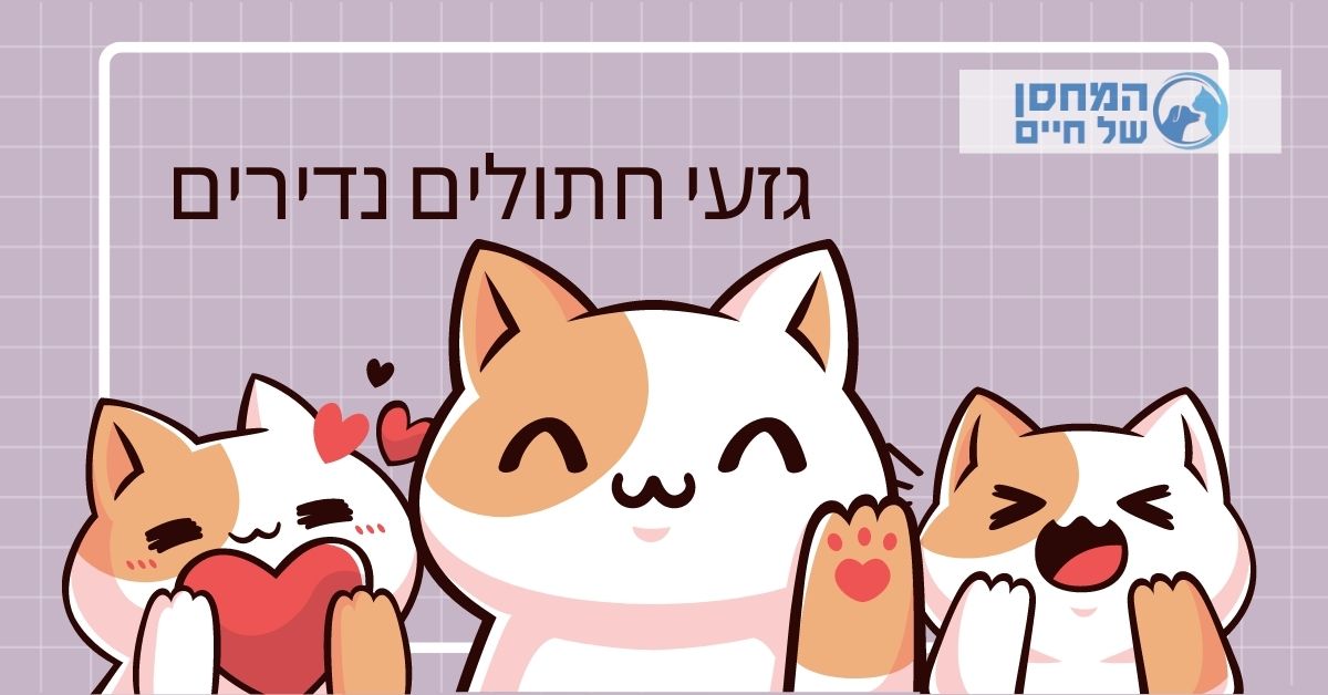 גזעי חתולים נדירים